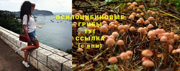 ПСИЛОЦИБИНОВЫЕ ГРИБЫ Валдай