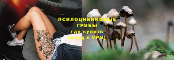 экстази Бородино