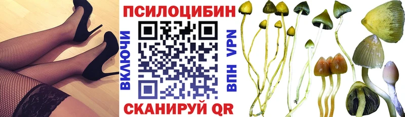 Галлюциногенные грибы Magic Shrooms Константиновск
